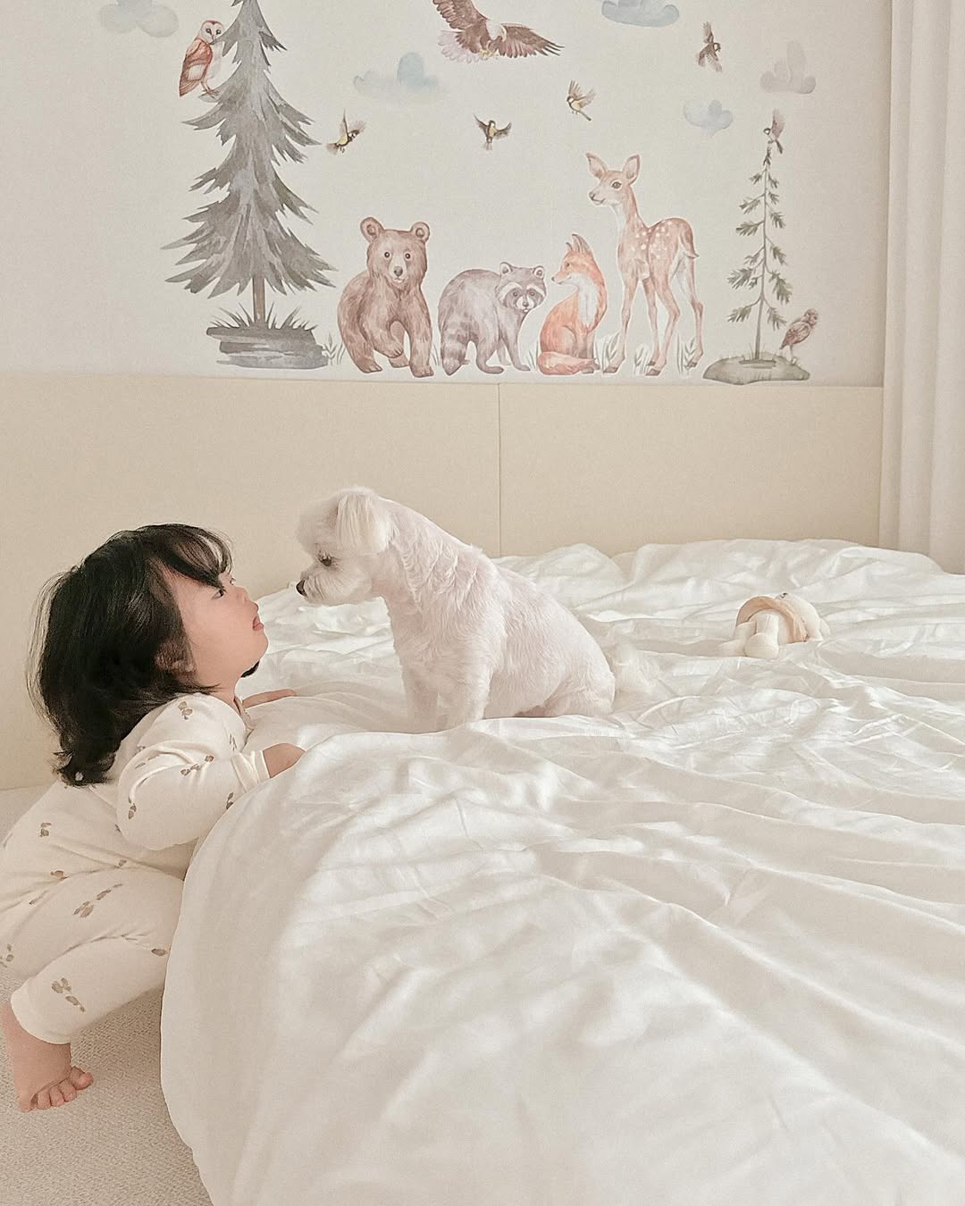 이미지를 찾을 수 없습니다.