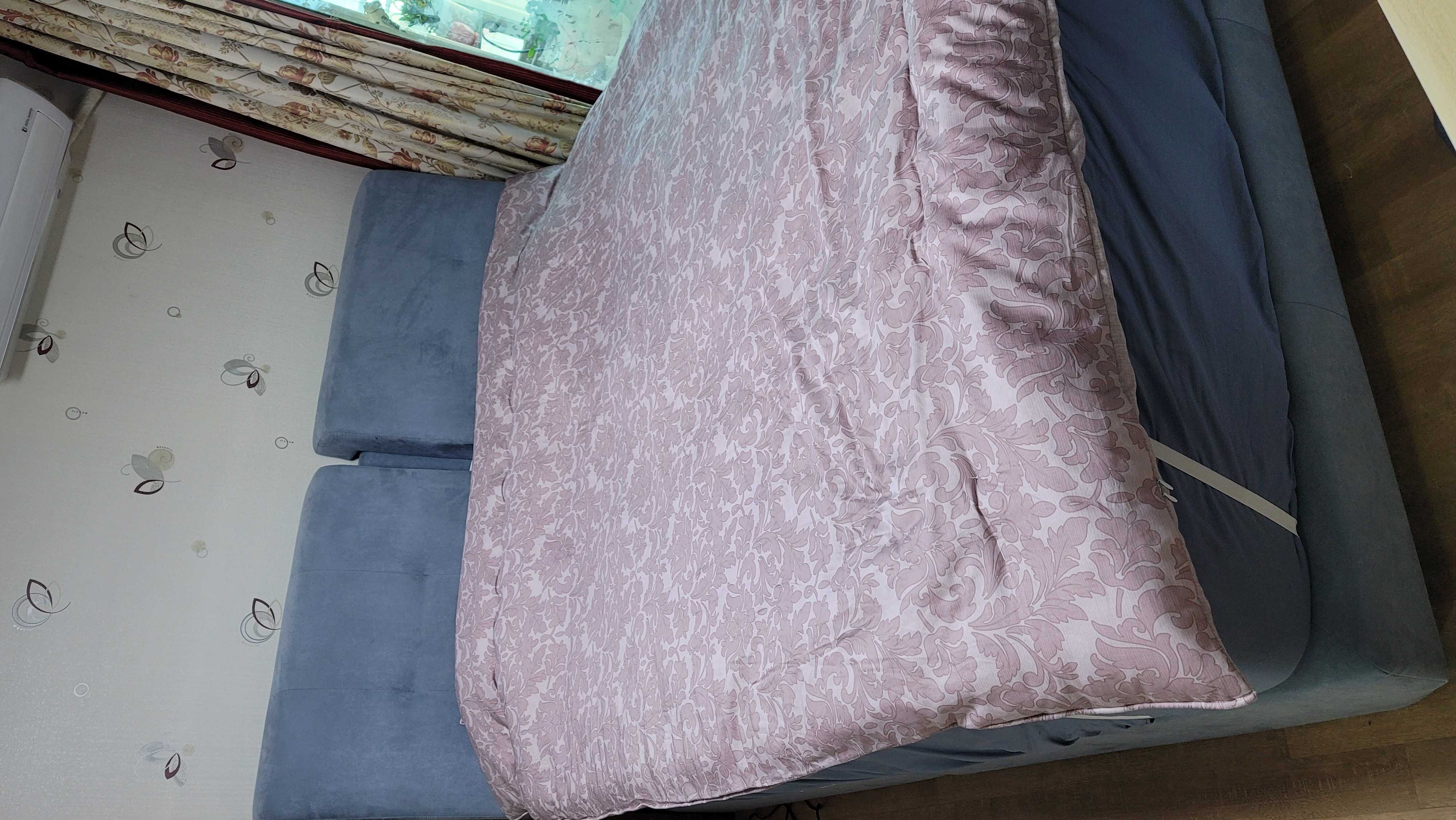 이미지를 찾을 수 없습니다.