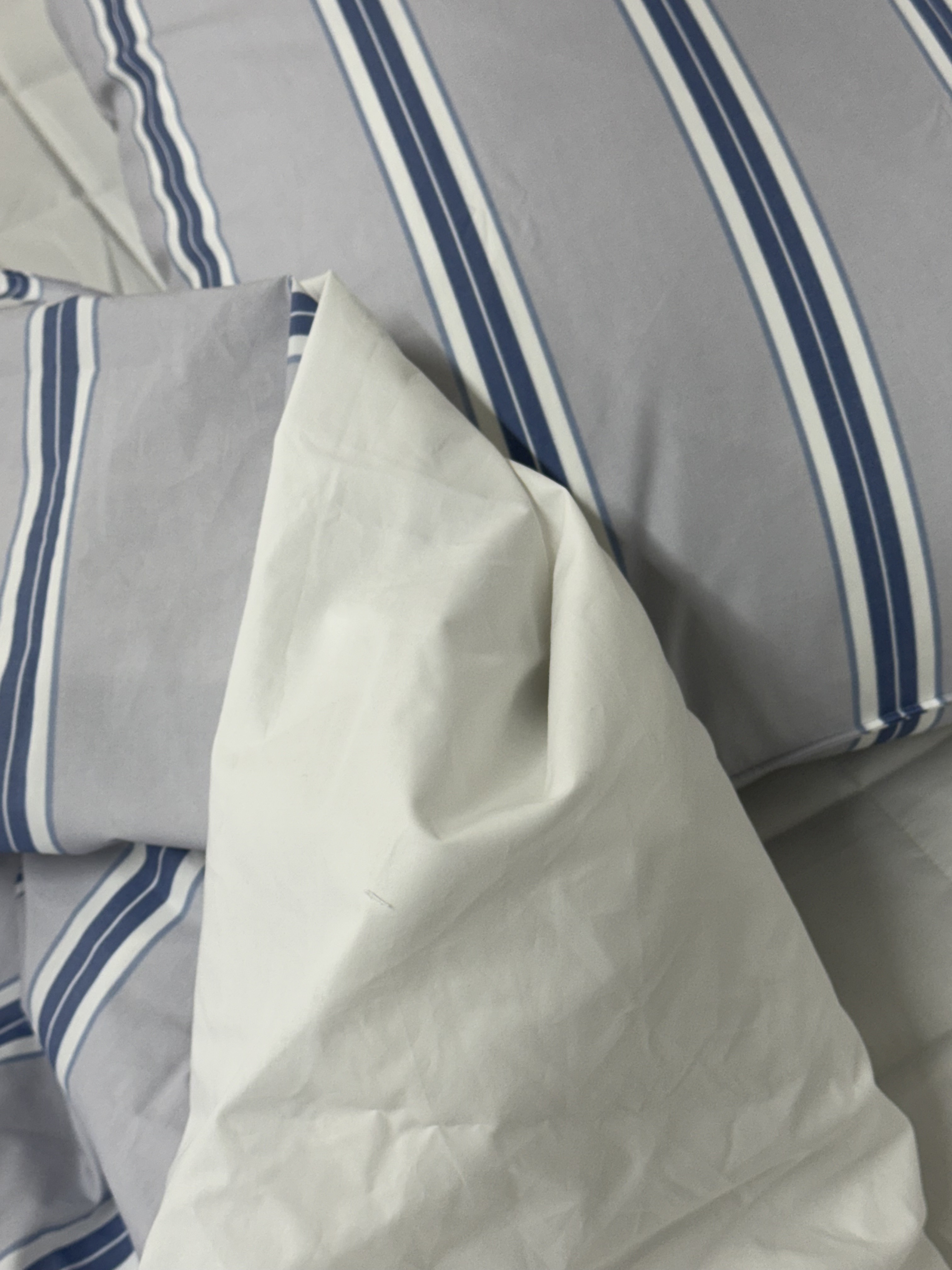 이미지를 찾을 수 없습니다.