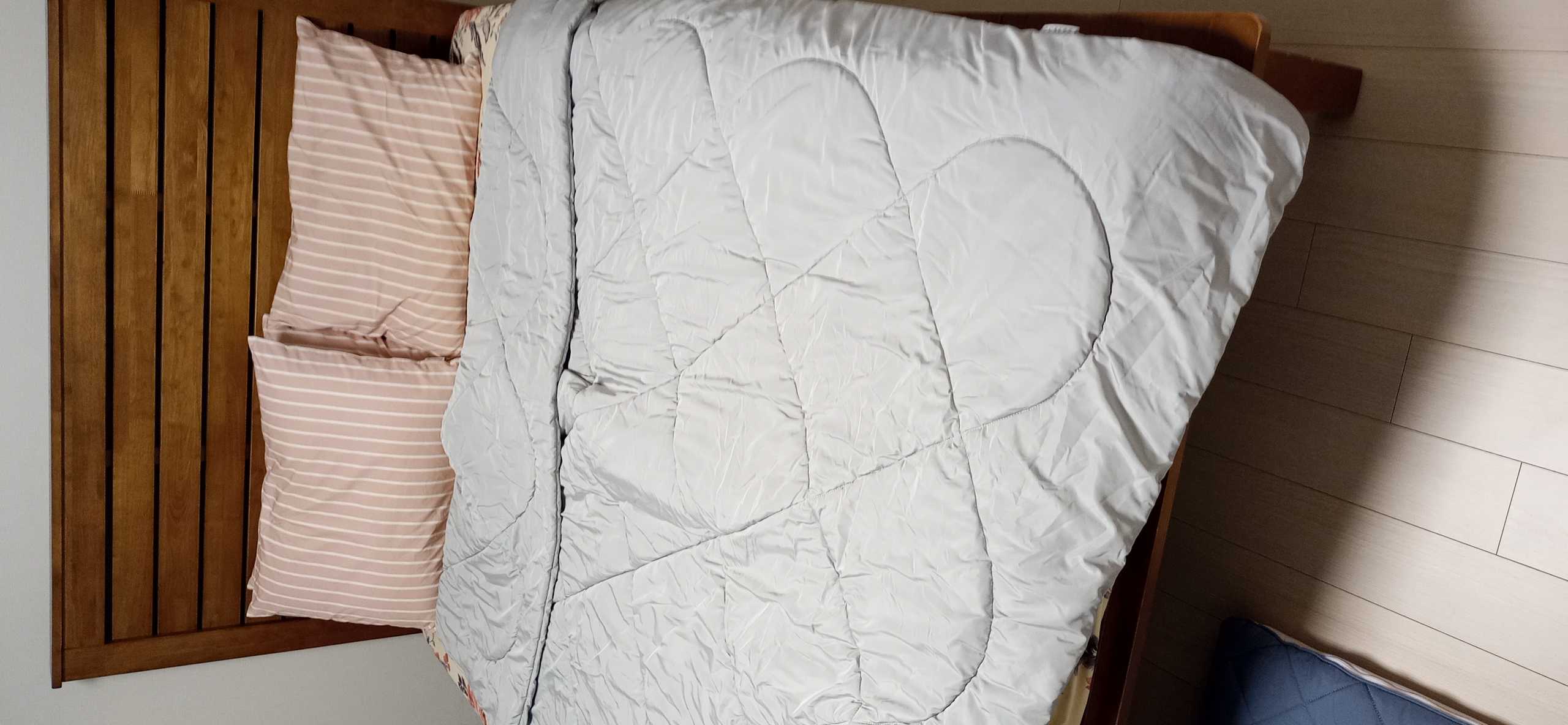 이미지를 찾을 수 없습니다.