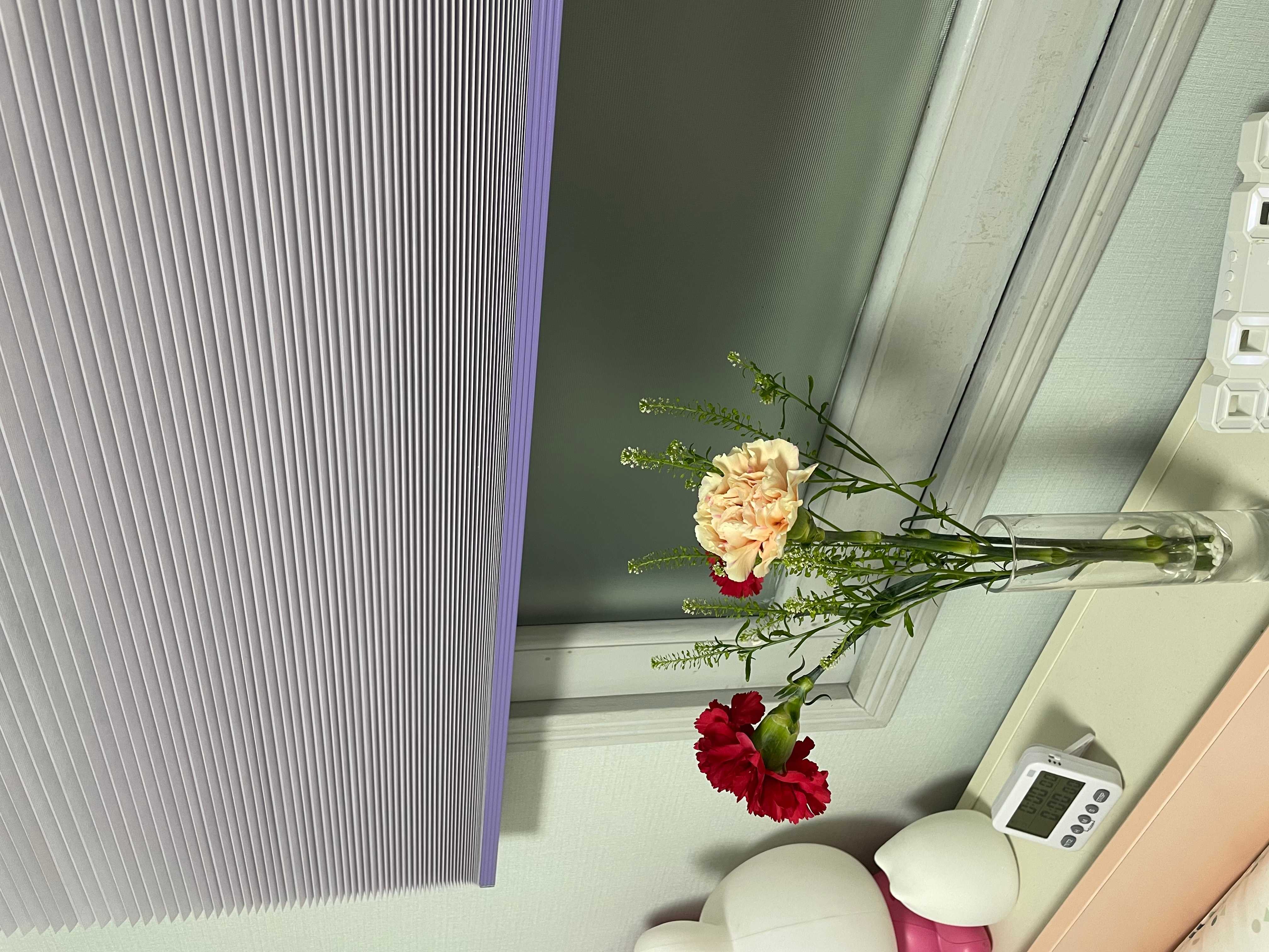 이미지를 찾을 수 없습니다.