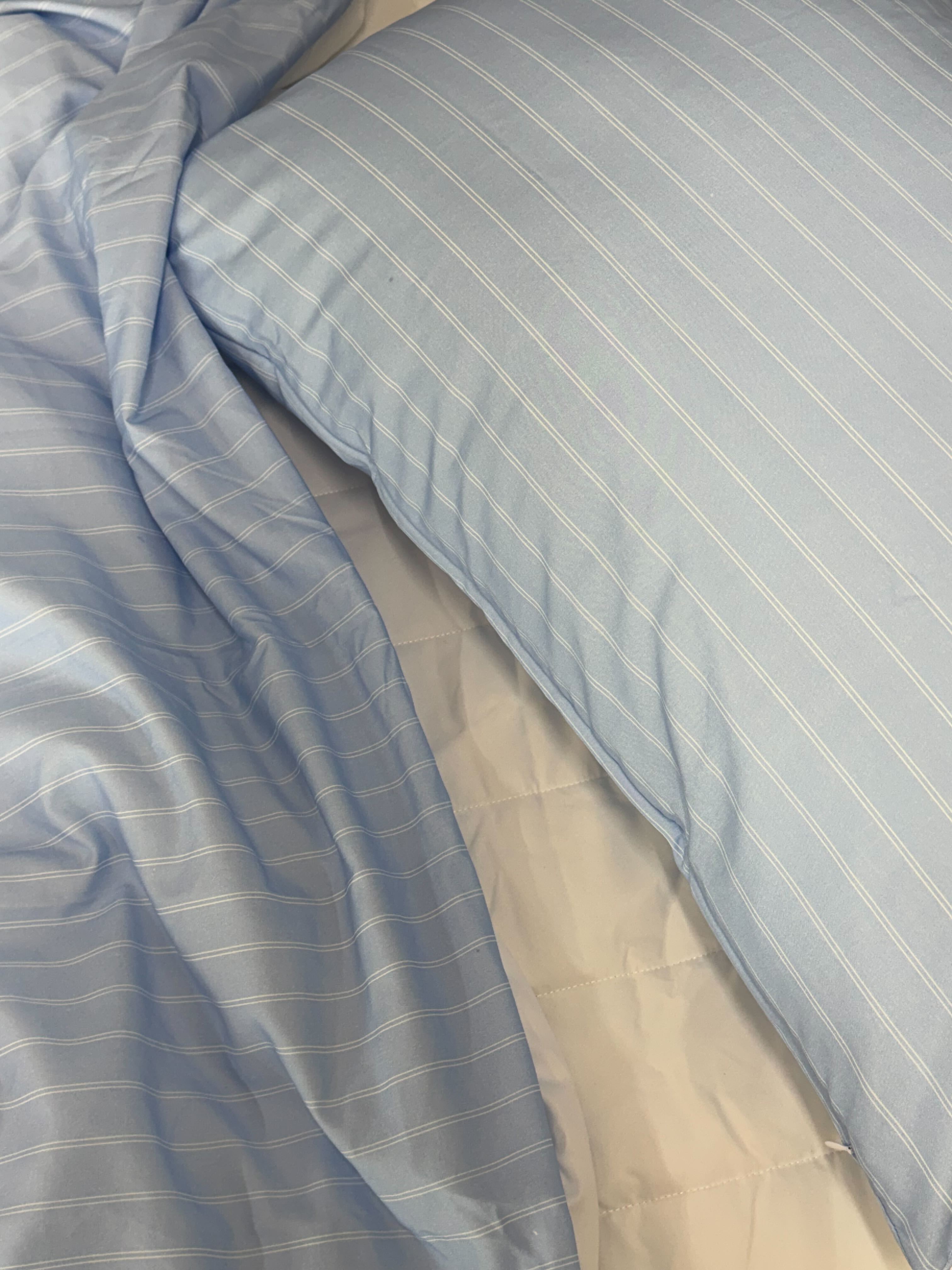 이미지를 찾을 수 없습니다.