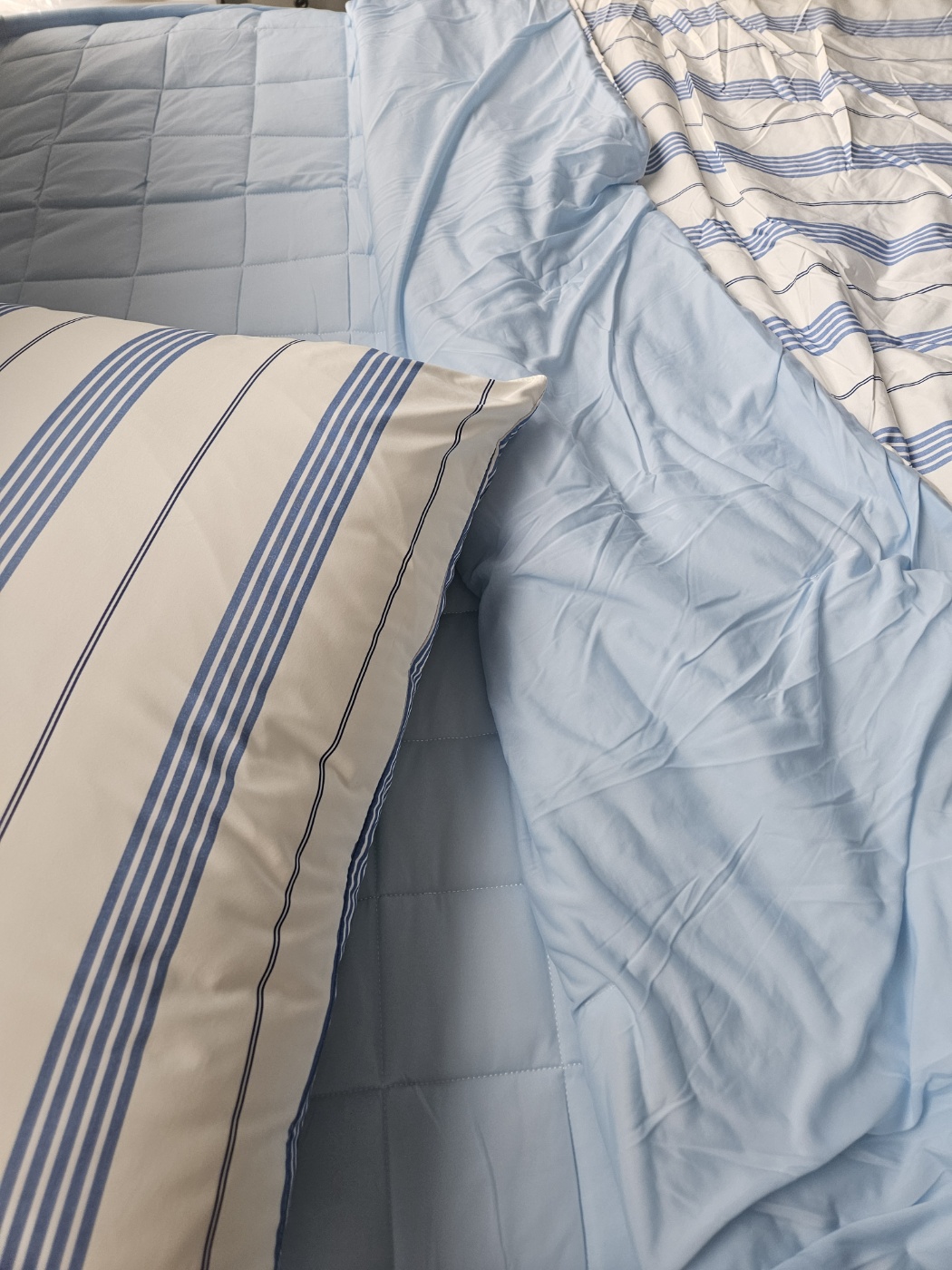 이미지를 찾을 수 없습니다.