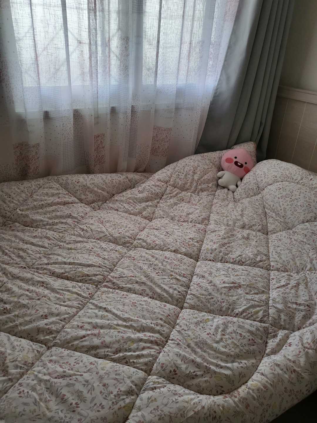 이미지를 찾을 수 없습니다.