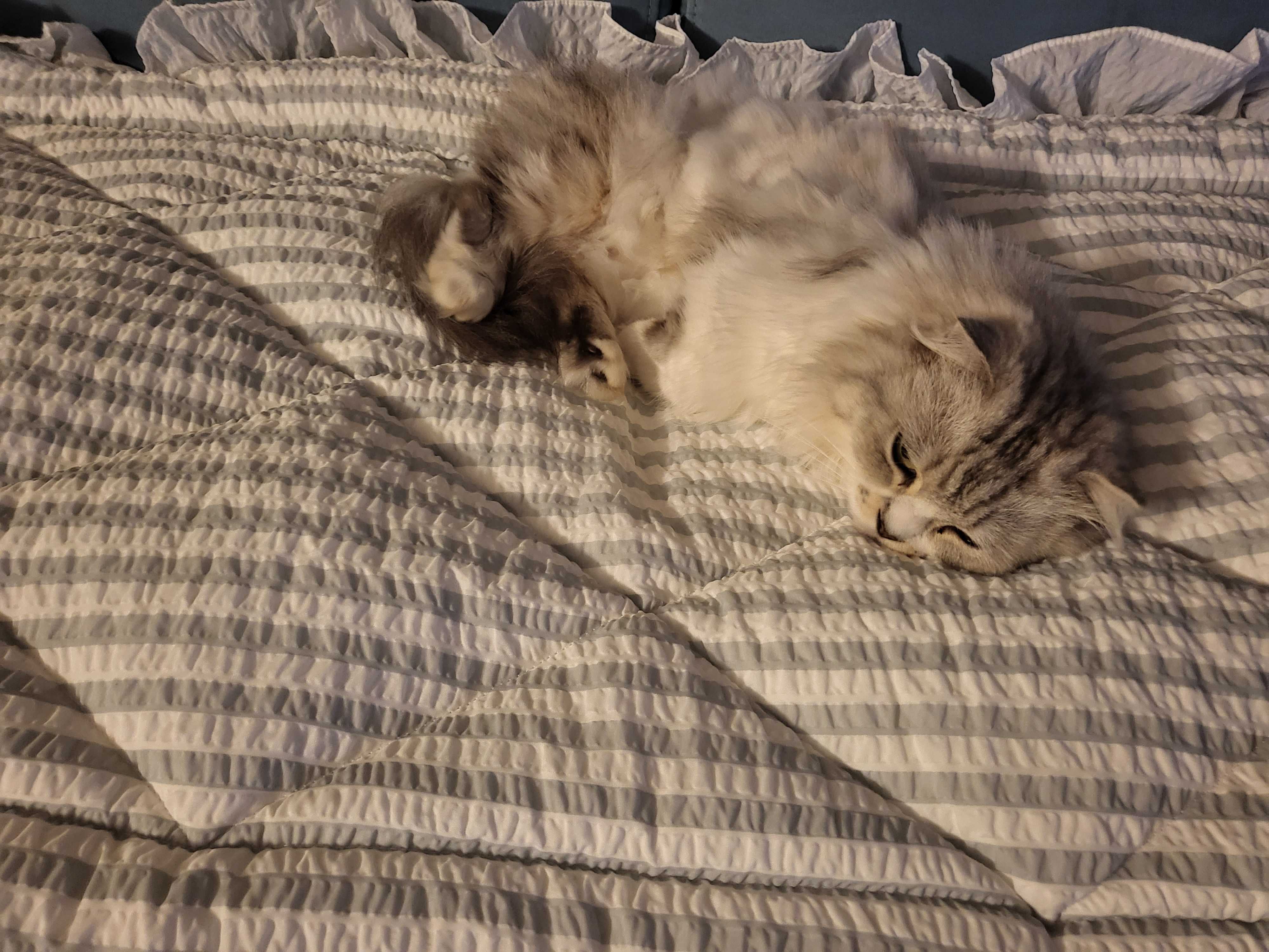 이미지를 찾을 수 없습니다.