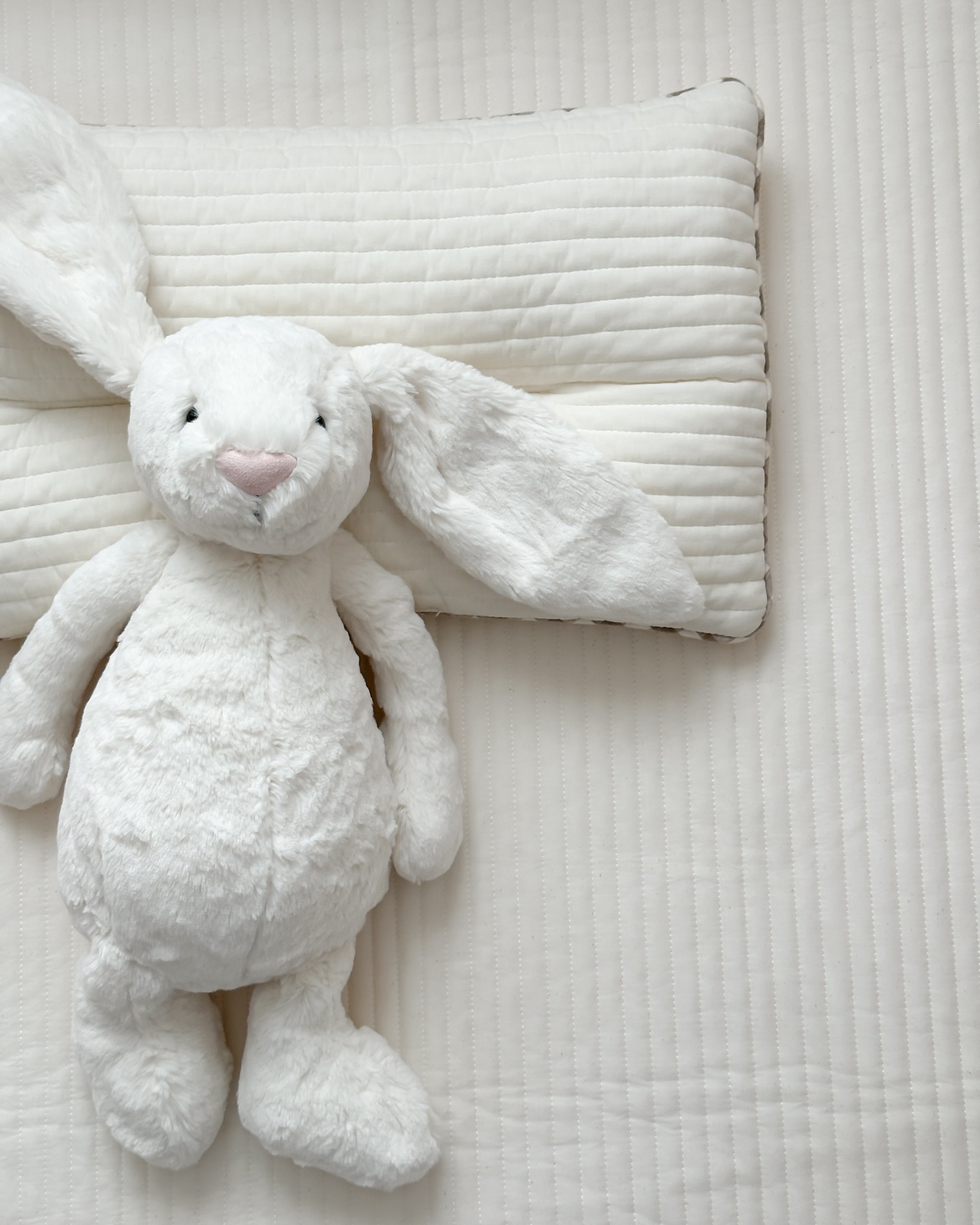 이미지를 찾을 수 없습니다.