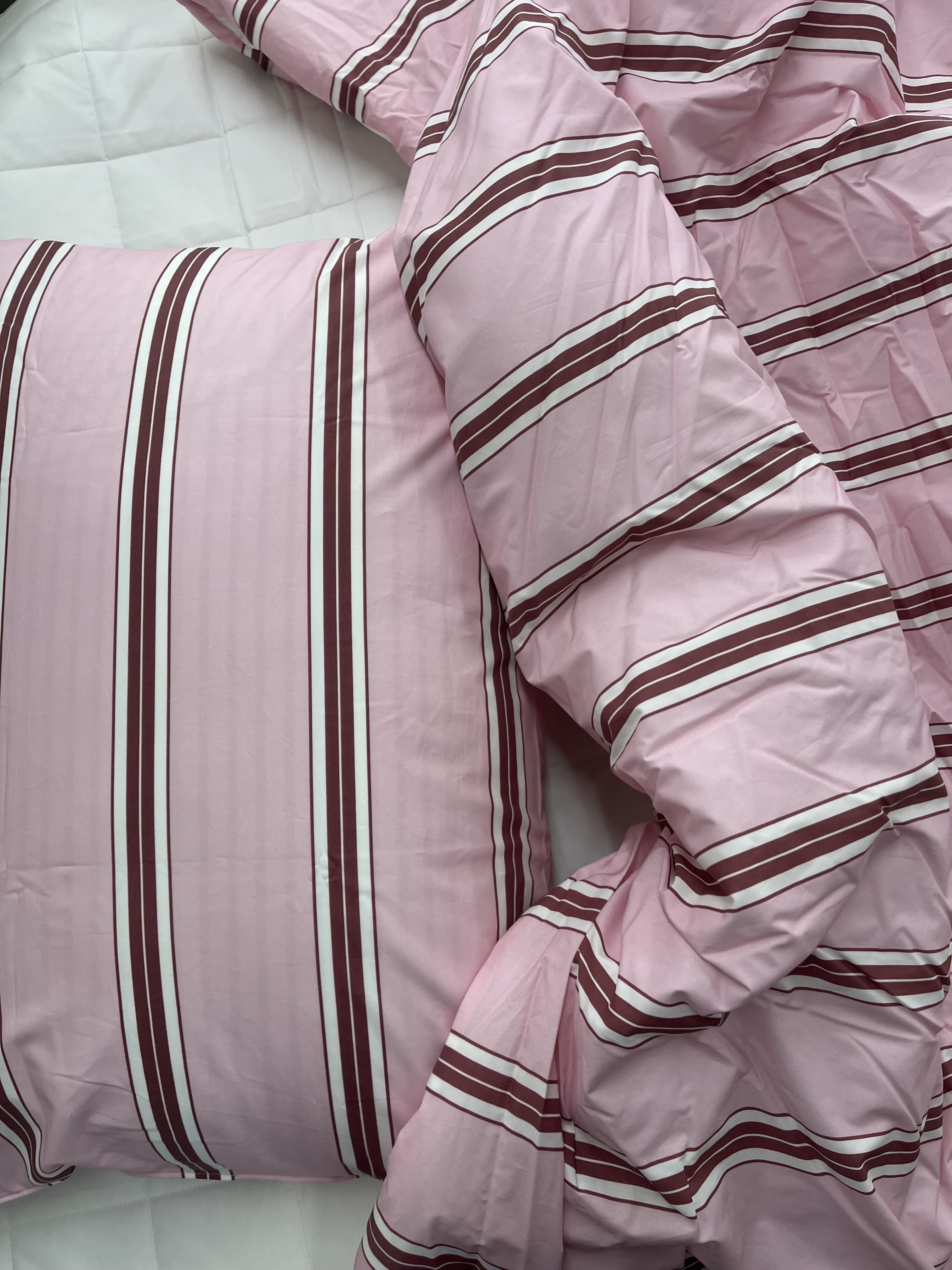 이미지를 찾을 수 없습니다.