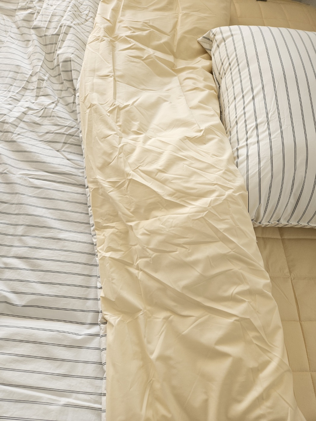 이미지를 찾을 수 없습니다.