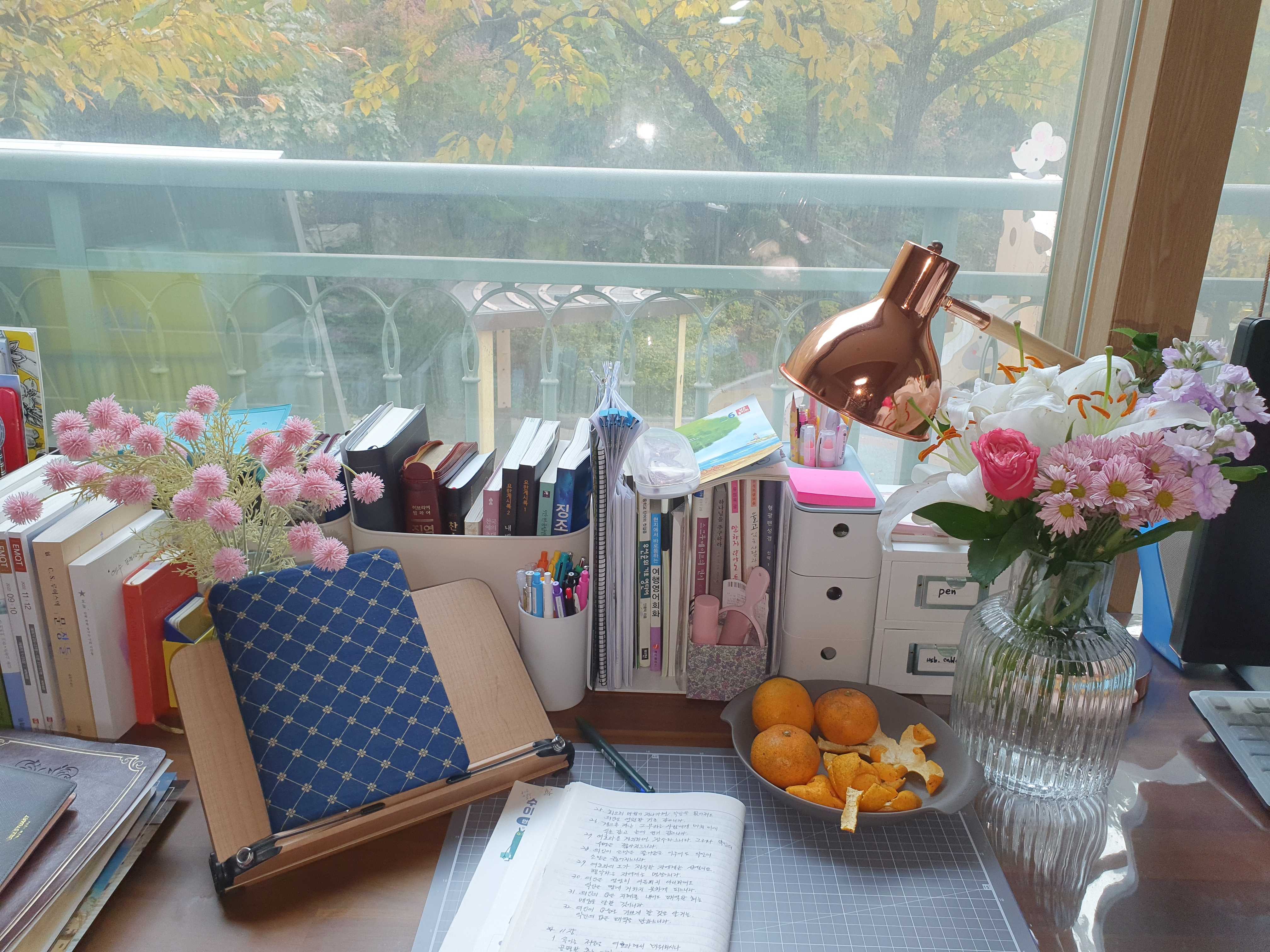 이미지를 찾을 수 없습니다.