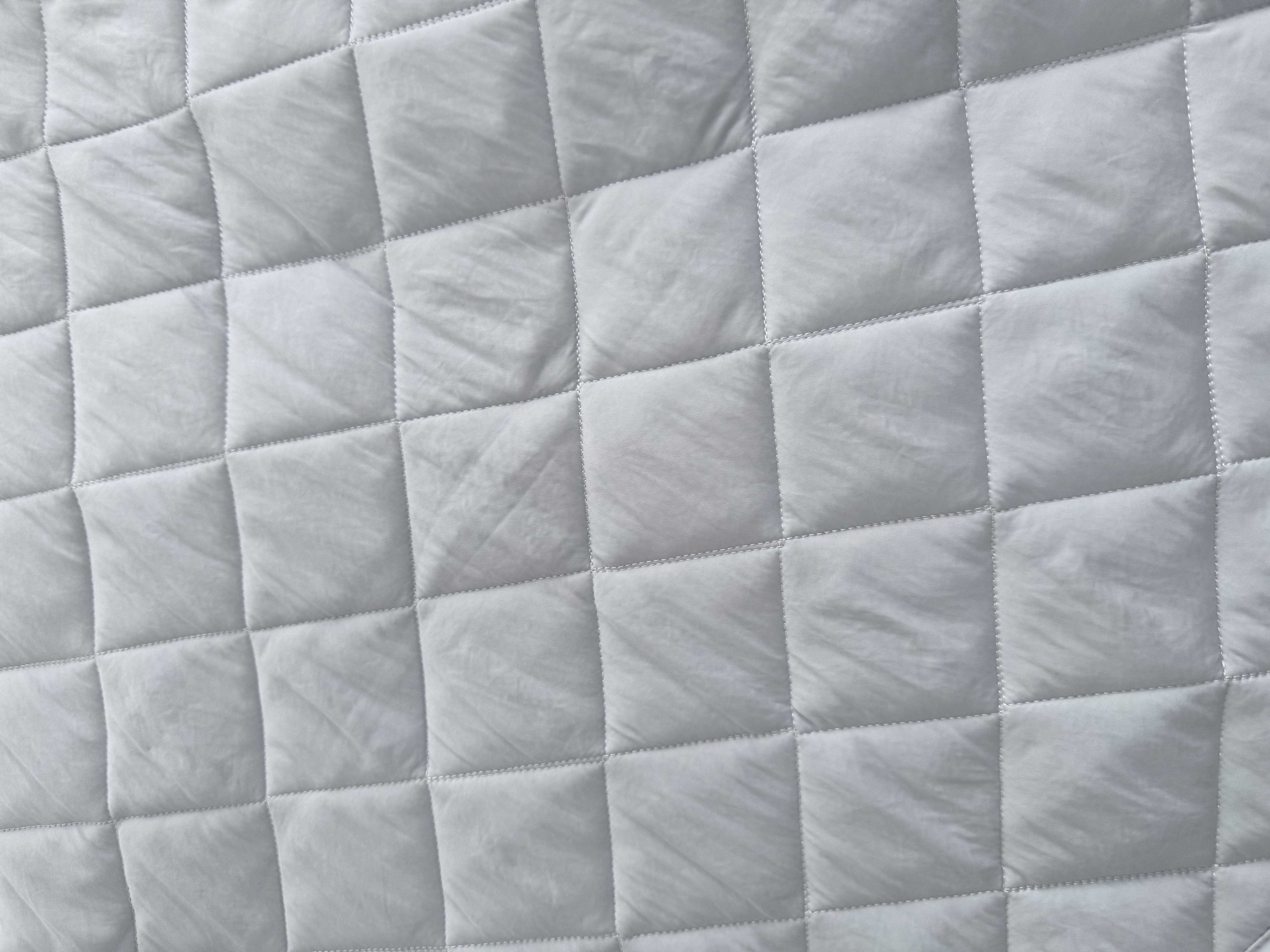 이미지를 찾을 수 없습니다.