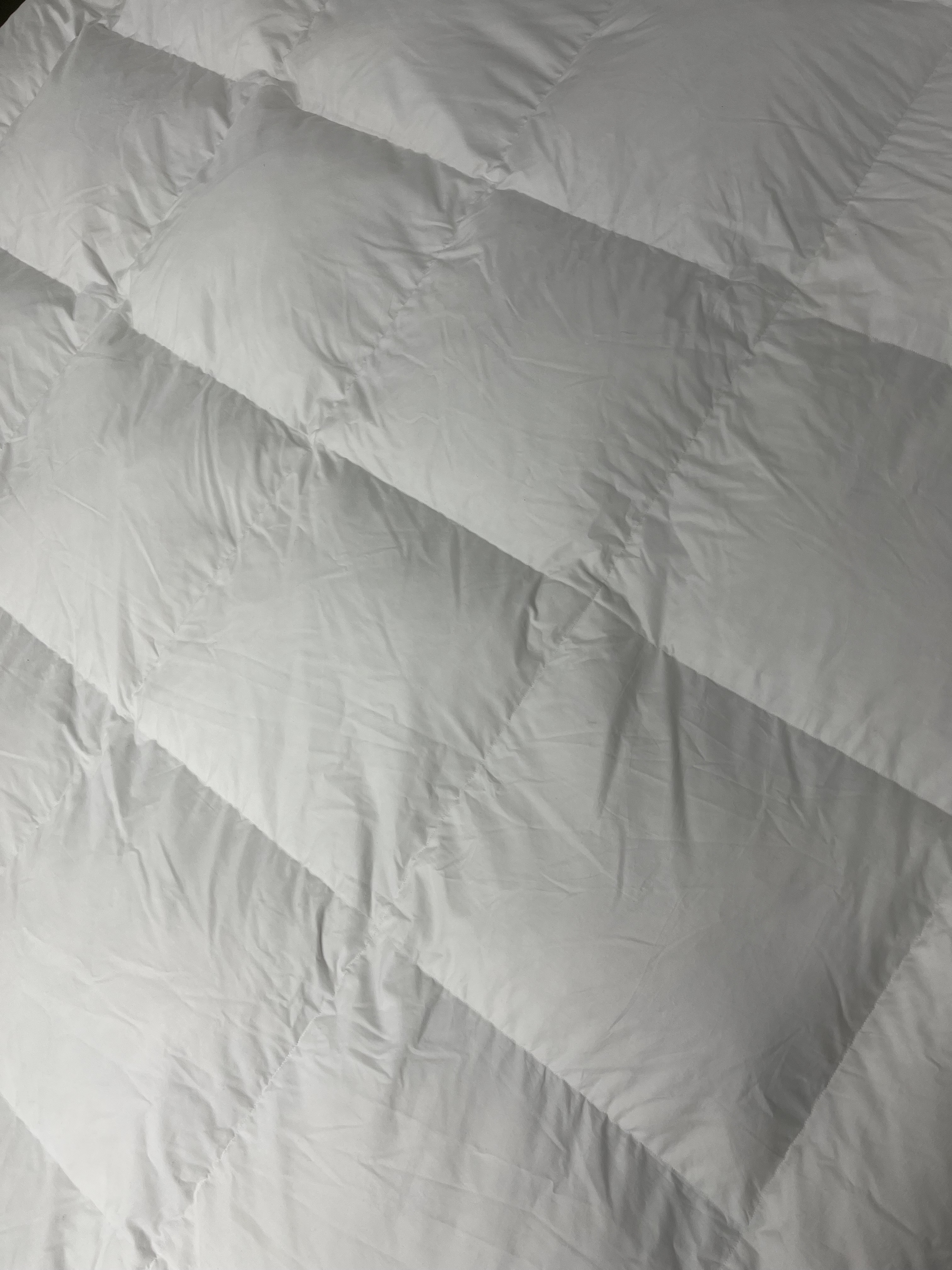 이미지를 찾을 수 없습니다.