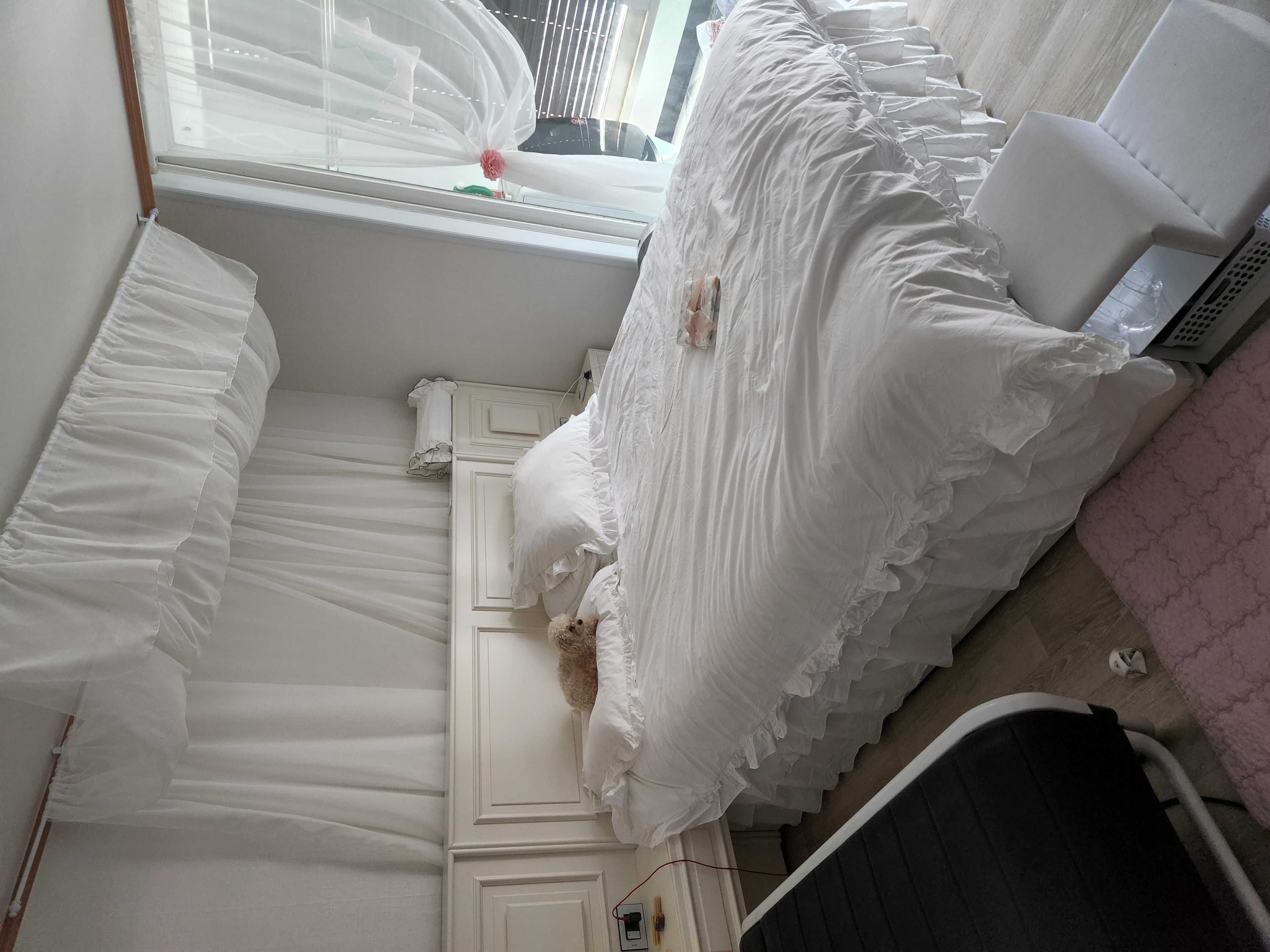 이미지를 찾을 수 없습니다.