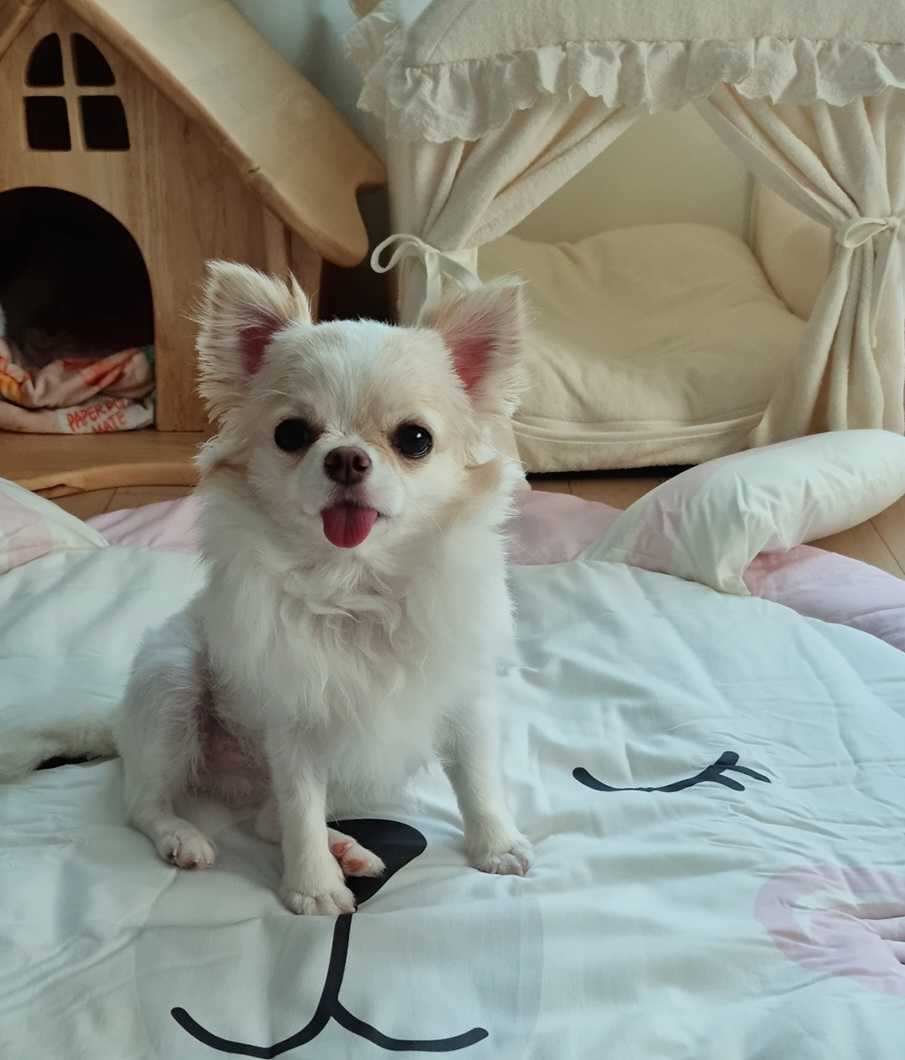 이미지를 찾을 수 없습니다.