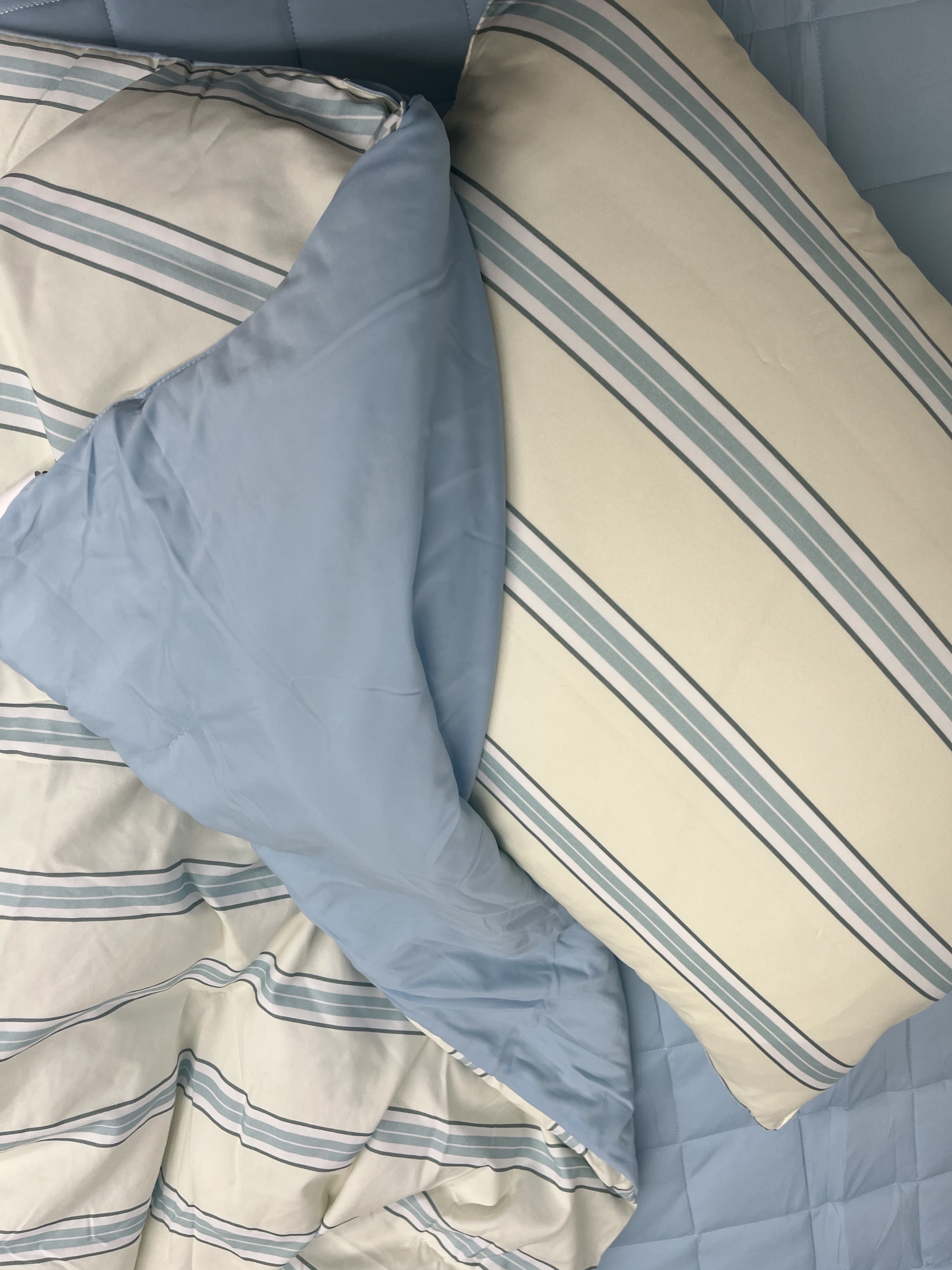 이미지를 찾을 수 없습니다.