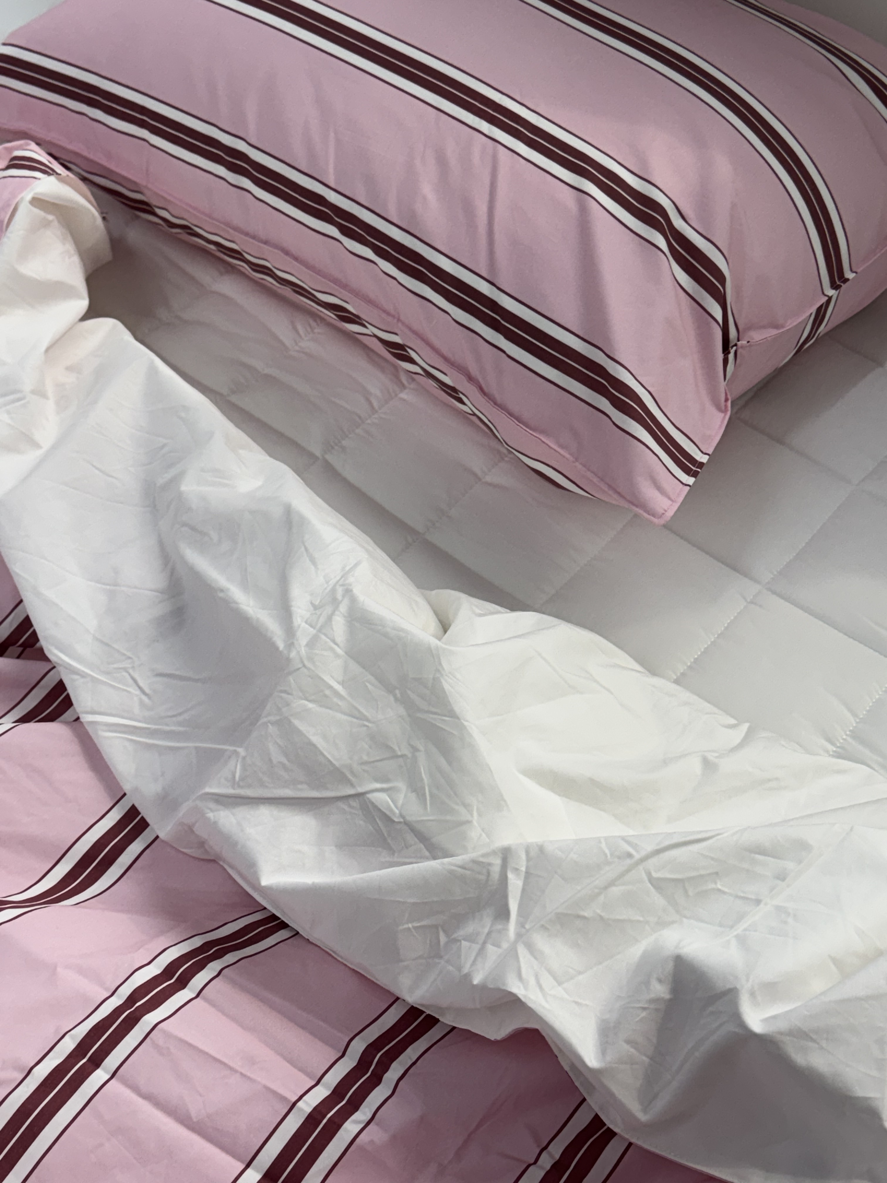 이미지를 찾을 수 없습니다.