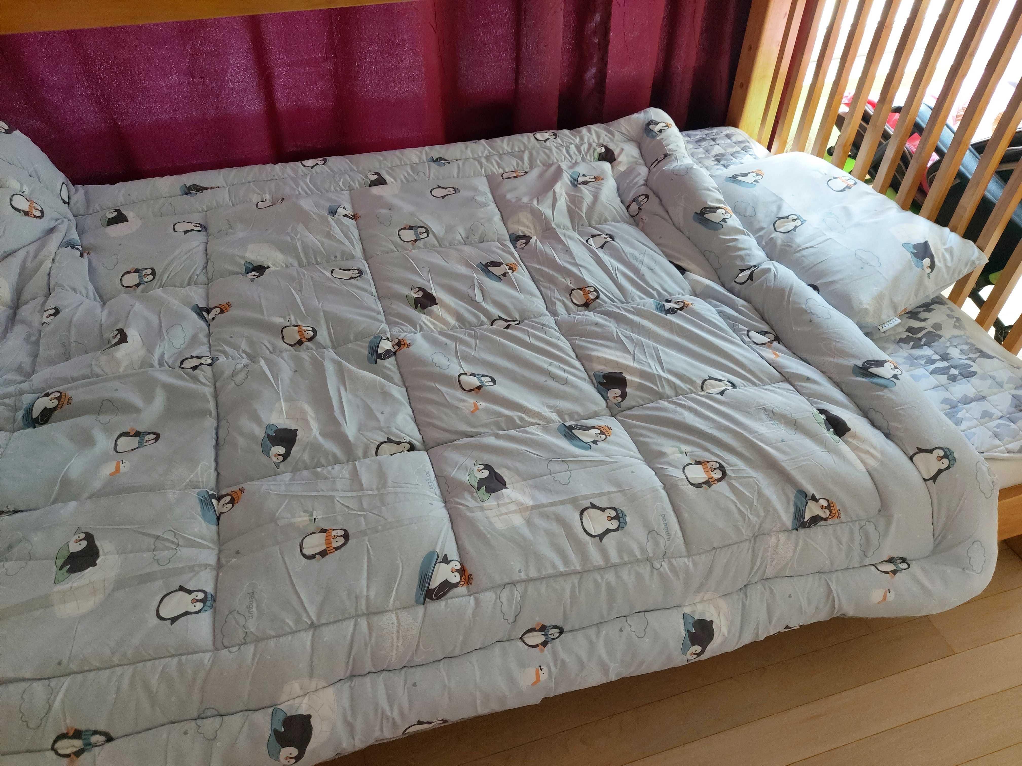 이미지를 찾을 수 없습니다.