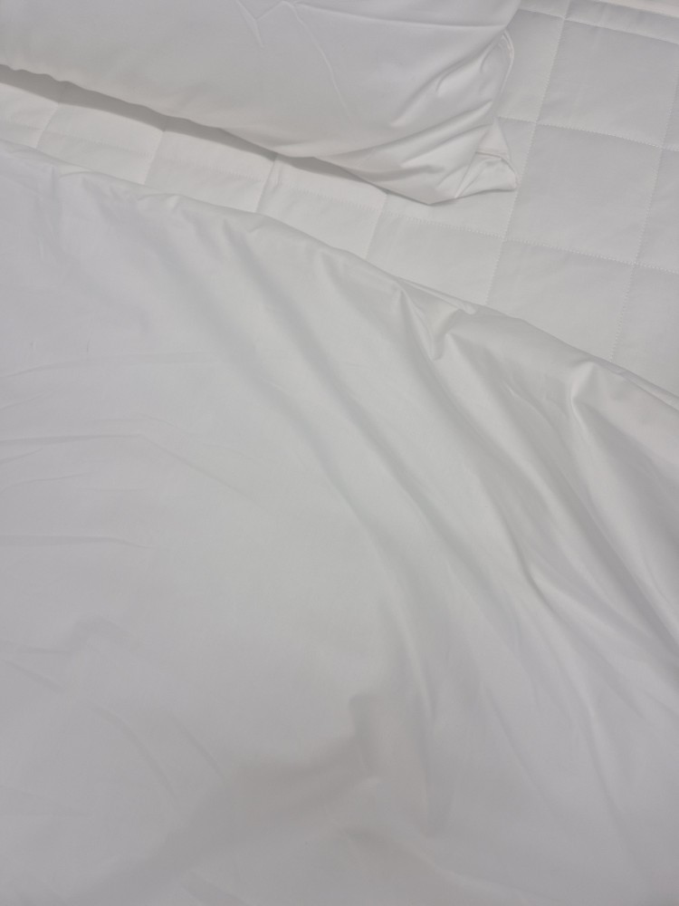 이미지를 찾을 수 없습니다.