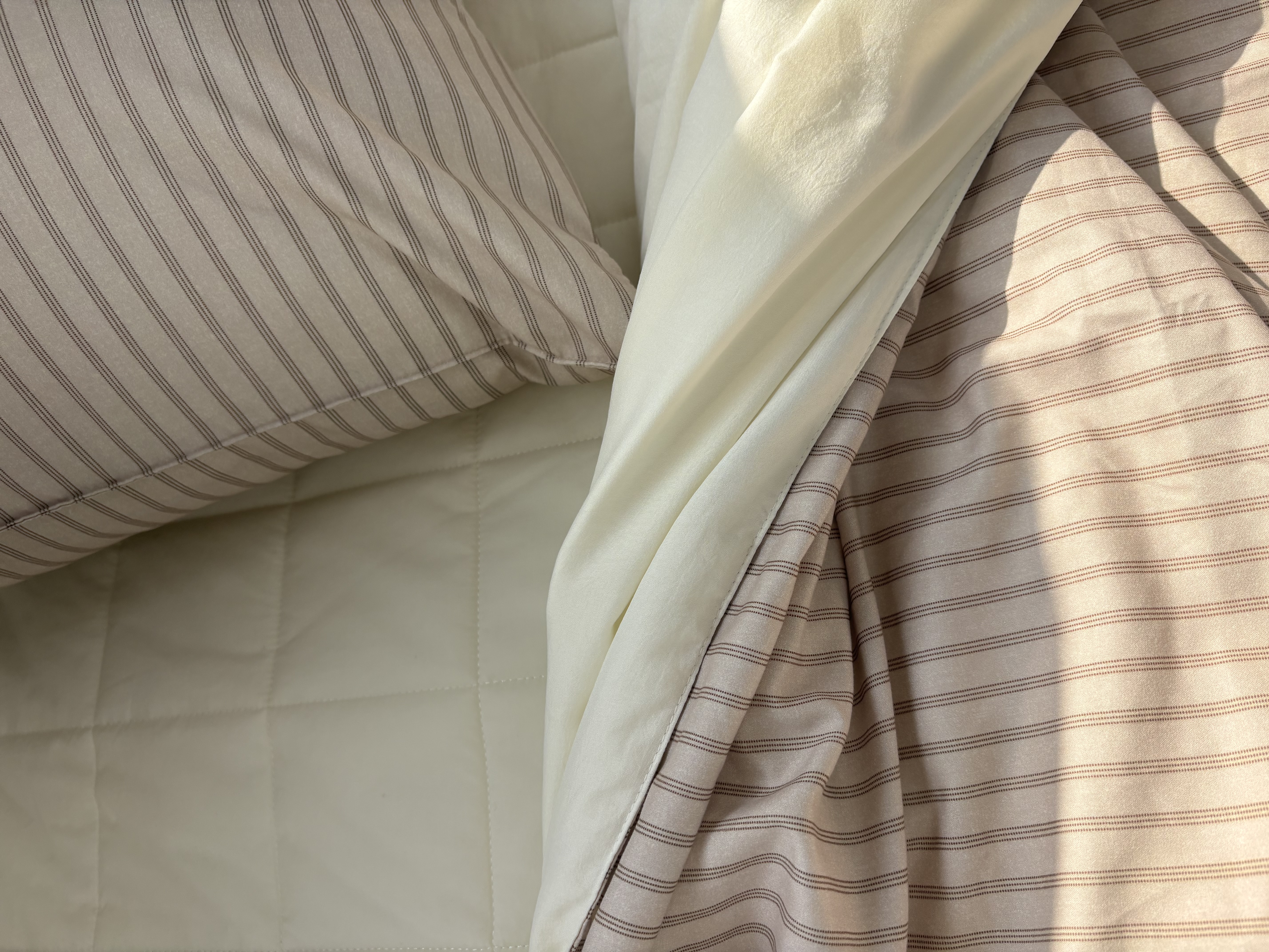 이미지를 찾을 수 없습니다.