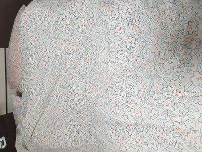 이미지를 찾을 수 없습니다.