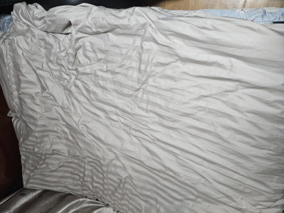 이미지를 찾을 수 없습니다.