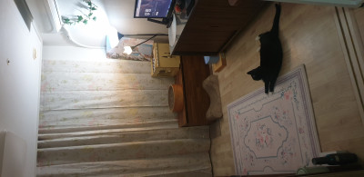 이미지를 찾을 수 없습니다.