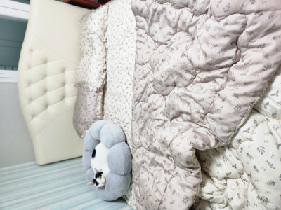 이미지를 찾을 수 없습니다.