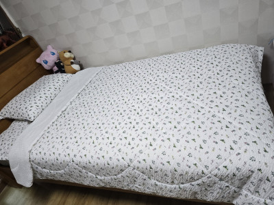 이미지를 찾을 수 없습니다.