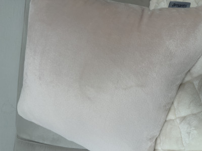 이미지를 찾을 수 없습니다.