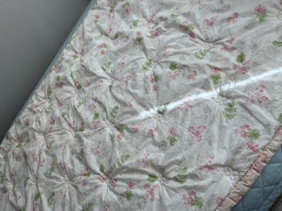 이미지를 찾을 수 없습니다.