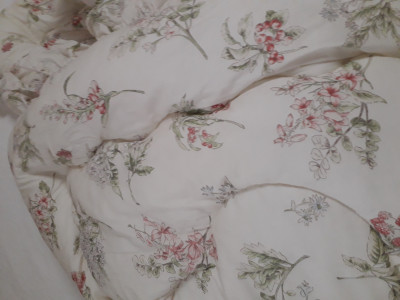 이미지를 찾을 수 없습니다.