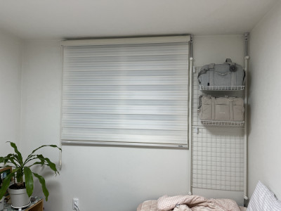 이미지를 찾을 수 없습니다.