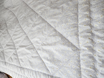 이미지를 찾을 수 없습니다.