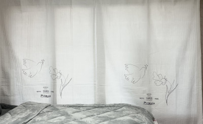 이미지를 찾을 수 없습니다.