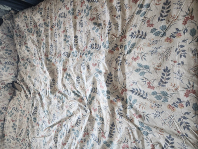 이미지를 찾을 수 없습니다.