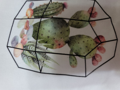 이미지를 찾을 수 없습니다.