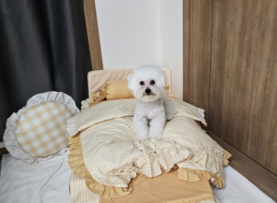 이미지를 찾을 수 없습니다.