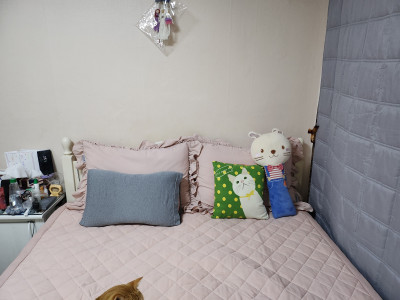 이미지를 찾을 수 없습니다.