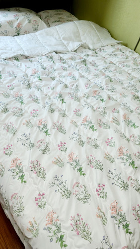 이미지를 찾을 수 없습니다.