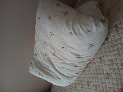 이미지를 찾을 수 없습니다.