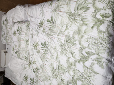 이미지를 찾을 수 없습니다.