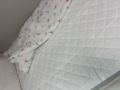 이미지를 찾을 수 없습니다.