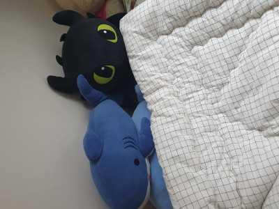 이미지를 찾을 수 없습니다.