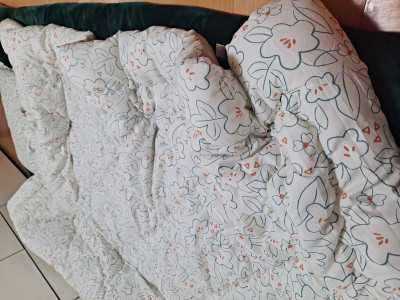 이미지를 찾을 수 없습니다.