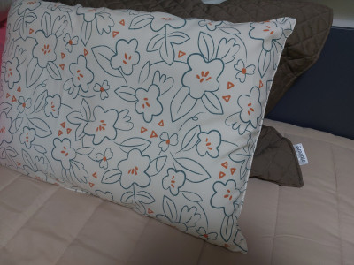 이미지를 찾을 수 없습니다.