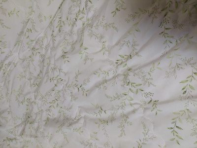 이미지를 찾을 수 없습니다.