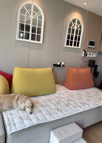 이미지를 찾을 수 없습니다.