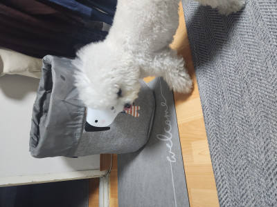 이미지를 찾을 수 없습니다.