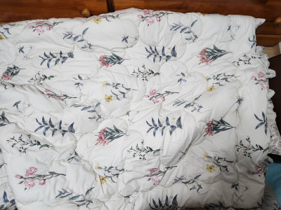 이미지를 찾을 수 없습니다.