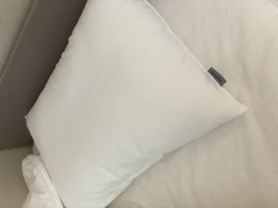 이미지를 찾을 수 없습니다.