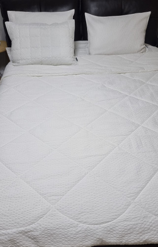 이미지를 찾을 수 없습니다.